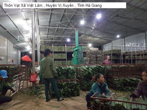 Thôn Vạt Xã Việt Lâm , Huyện Vị Xuyên , Tỉnh Hà Giang
