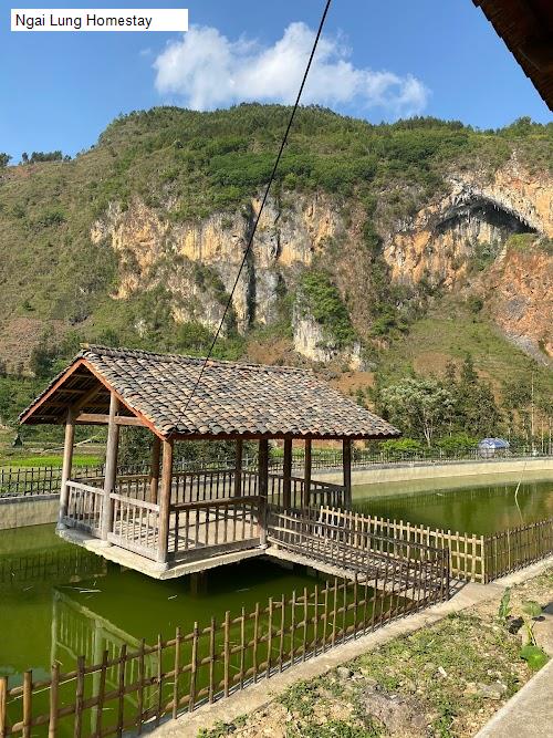 Ngai Lung Homestay