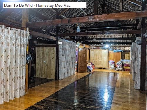 Born To Be Wild - Homestay Meo Vac