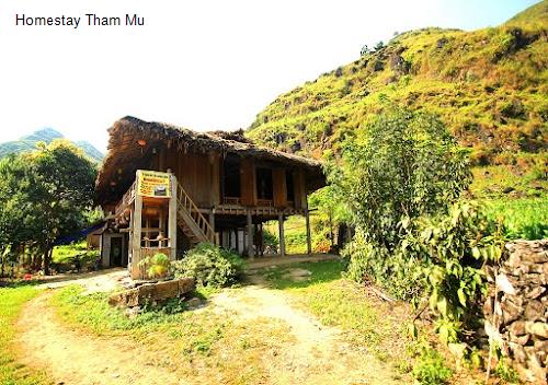 Homestay Tham Mu