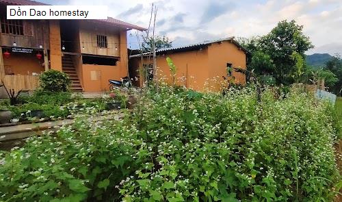 Dồn Dao homestay