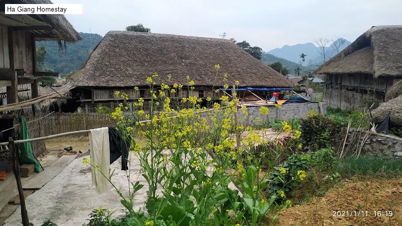 Ha Giang Homestay