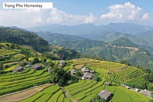 Trọng Phú Homestay