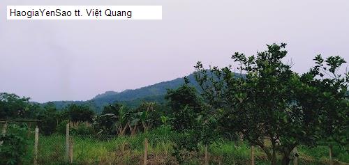 tt. Việt Quang